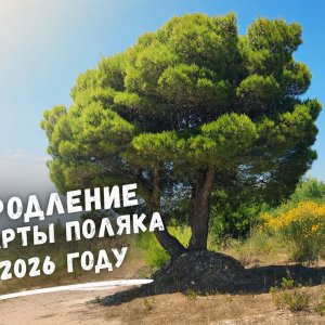 Продление Карты Поляка в 2026 году: Беларусь, Польша и все нюансы
